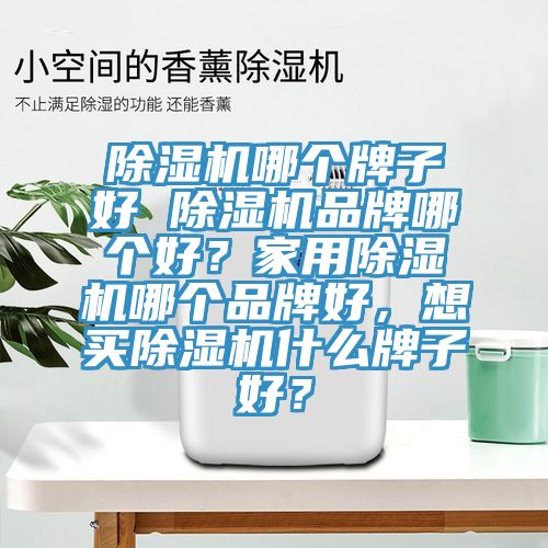 除濕機哪個牌子好 除濕機品牌哪個好？家用除濕機哪個品牌好，想買除濕機什么牌子好？