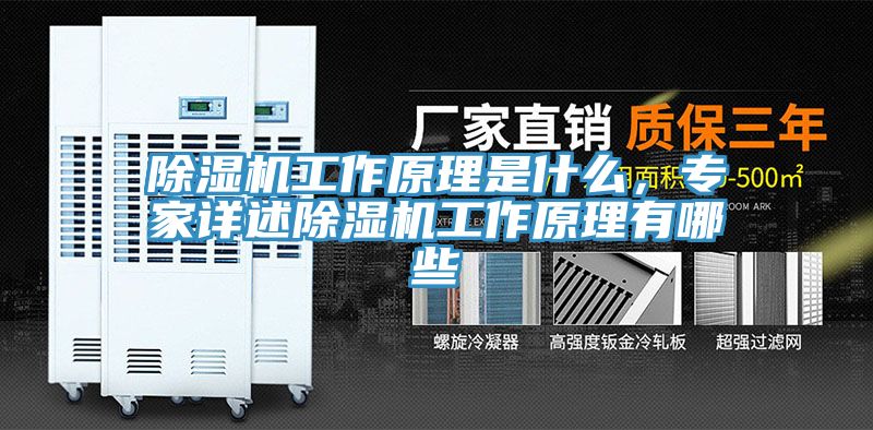 除濕機工作原理是什么，專家詳述除濕機工作原理有哪些