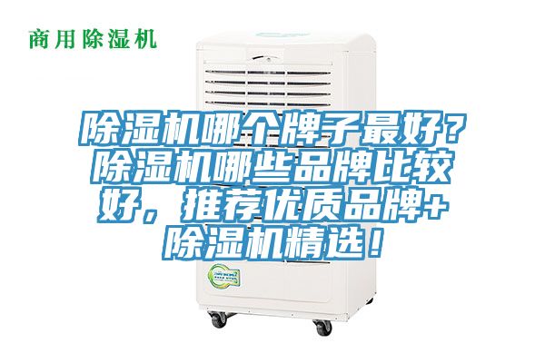 除濕機哪個牌子最好？除濕機哪些品牌比較好，推薦優(yōu)質(zhì)品牌+除濕機精選！