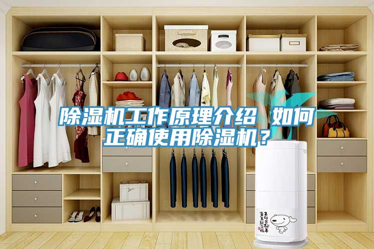 除濕機工作原理介紹 如何正確使用除濕機？