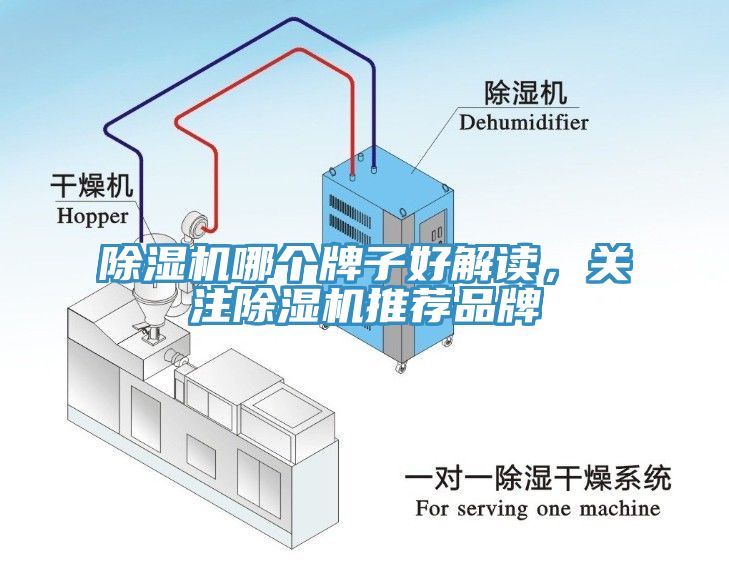 除濕機(jī)哪個牌子好解讀，關(guān)注除濕機(jī)推薦品牌